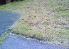 Parque Koldo Mitxelena