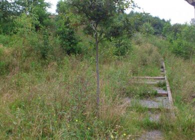 PARQUES DE PAGOLA DESCUIDADOS POR EL AYUNTAMIENTO