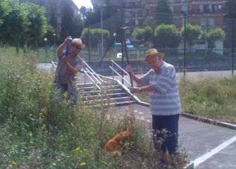 Parques y jardines y/o selvas donostiarras