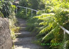 ¿Pasaje público o selva tropical?