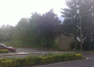 PASEO SIN SENTIDO