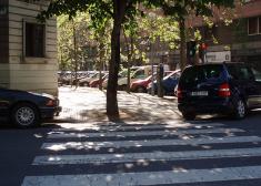Paso de cebra con árbol en Errondo