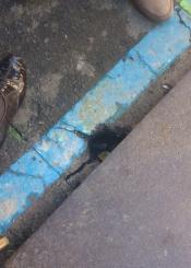 Paso de cebra peligrosa