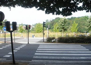 Pasos de cebra no alineados