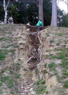 PELIGRO DE DESPRENDIMIENTO EN UNA ZONA DE COLEGIOS