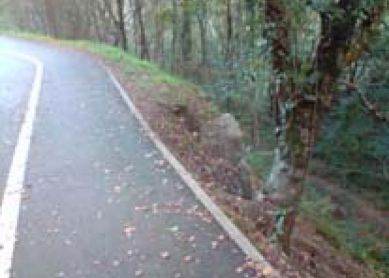 Peligro parque Ametzagaña