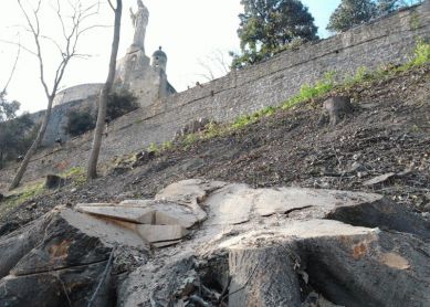 «Perdónalos, porque no saben lo que hacen»