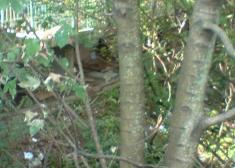 Pernoctar debajo de Txara1