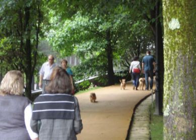 Perros en Cristina Enea