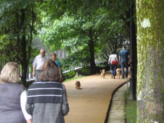 Civismo en Donostia-San Sebastián