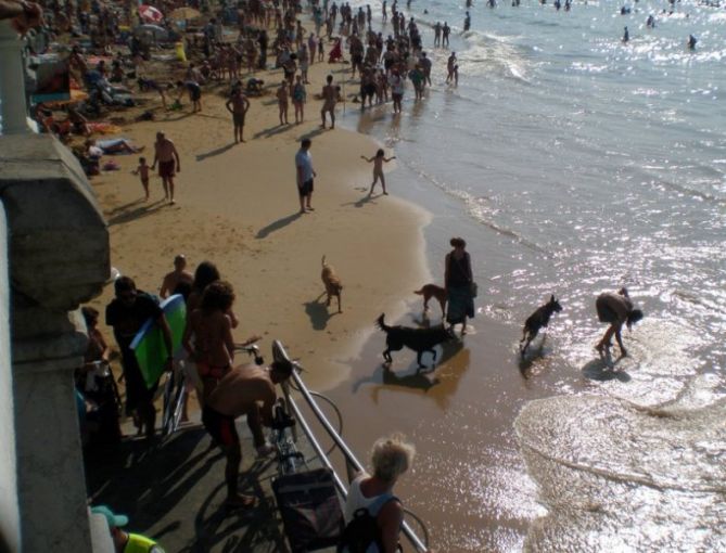 Otros en Donostia-San Sebastián