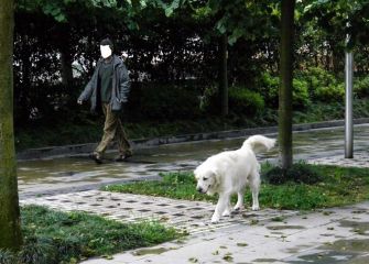 Perros sueltos o atados