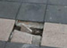 PIO XII UNA PLAZA DONDE PISAR ES UNA SORPRESA DIARIA