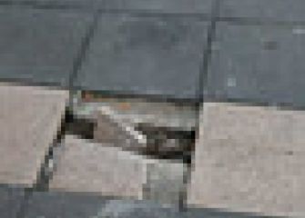 PIO XII UNA PLAZA DONDE PISAR ES UNA SORPRESA DIARIA