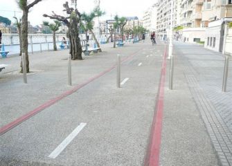 Pivotes en el bidegorri