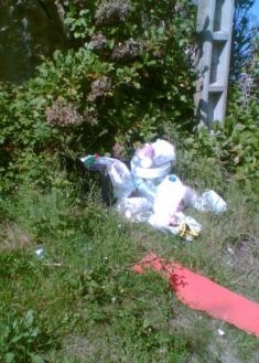 " plantas invasoras"