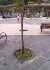 Plaza nueva en Herrera: sin terminar con peligro