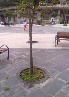 Plaza nueva en Herrera: sin terminar con peligro