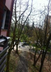 PODA DE ARBOLES EN BIDEBIETA