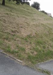 PODA DE JARDINES Y SUCIEDAD