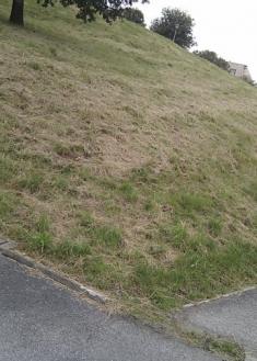 PODA DE JARDINES Y SUCIEDAD