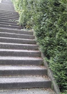 PODA DE SETOS Y JARDINES EN BERIO