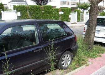 Podas en Berio y limpieza