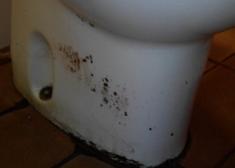 Polideportivo de Altza