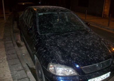 Polución en Donibane