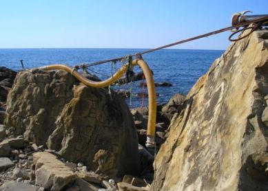 Preocupación por el medio ambiente