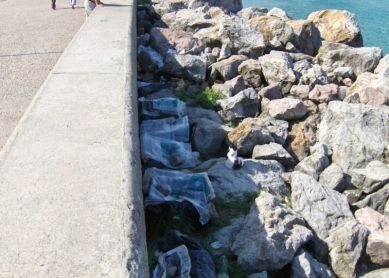 QUE CERDADA ES ESTO ¡PREGUNTO!