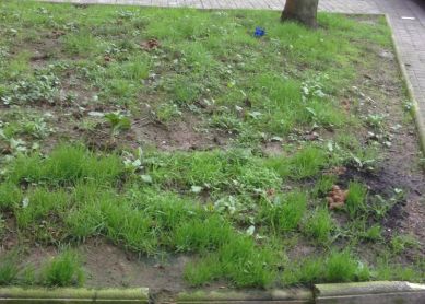 Que vivan las fuentes de infección