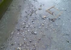 regata de la avenida de tolosa