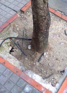 Residuos de plástico