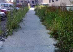 Responsabilidades del Ayuntamiento