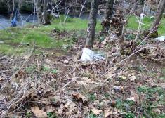 Rios desastre en oiarzun