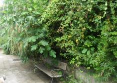 Se  rien descaradamente, del barrio. Marrutxipi