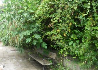 Se  rien descaradamente, del barrio. Marrutxipi