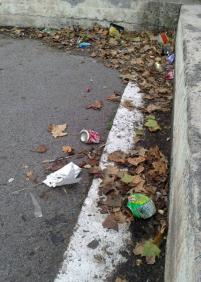 Sin presupuesto para limpieza