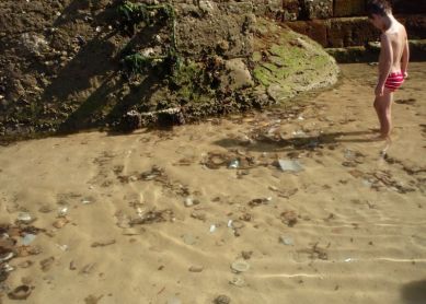 suciedad en la concha