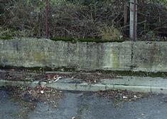 Suciedad en Lasarte-Oria