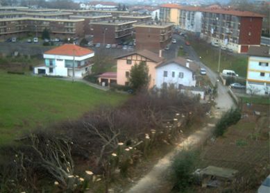 Tala indiscriminada en Irun