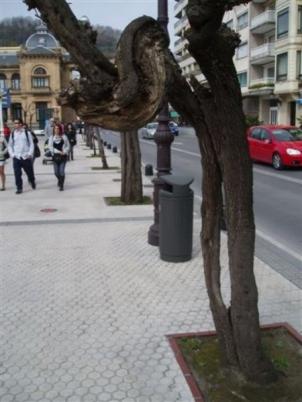 Otros en Donostia-San Sebastián