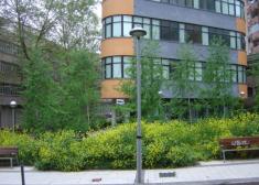 TARZAN EN BIDEBIETA (LA PAZ)