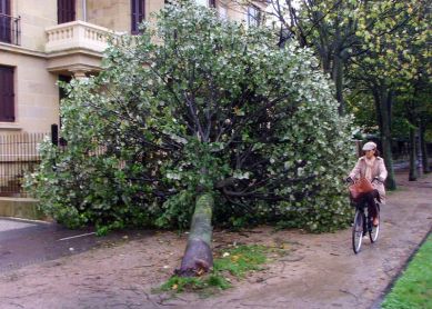 TILOS PASEO  DE FRANCIA