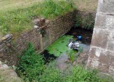 ¿UN ESTANQUE O UN BASURERO?