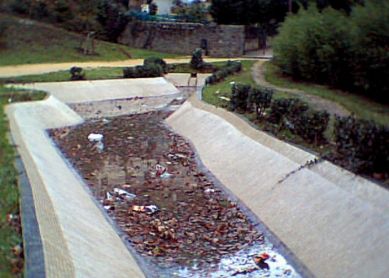 Un estanque que da pena