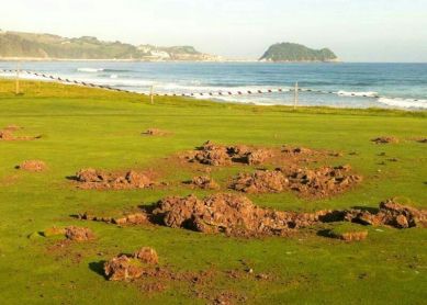 Vandalismo en el golf de Zarautz