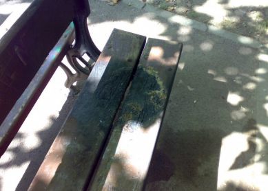 Vandalismo en Lasarte-Oria