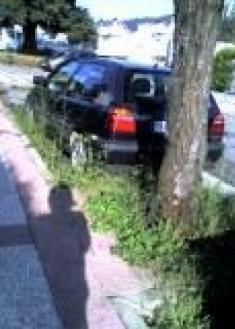 Vean ustedes mismos.